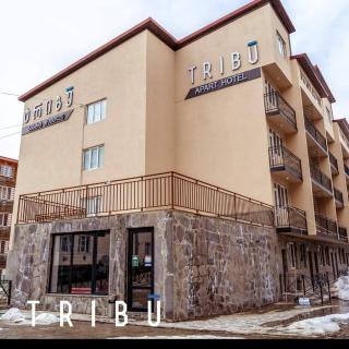 tribu apart hotel - Bakuriani - 0