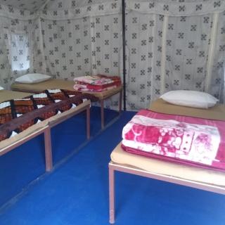 Green Valley Camping & Adventure with free parking - Nainital - 1