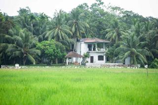 SHD Paddy Villa - 6
