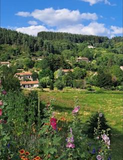 Domaine privé dans les bois - Salettes - 6