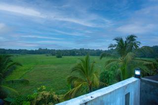 SHD Paddy Villa - 1