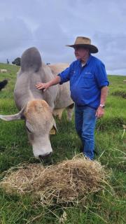 Fay's Cottage - Dorrigo - 9