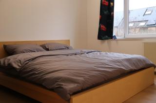 LLN chouette - Louvain-la-Neuve - 0