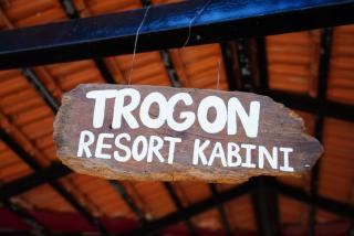 Trogon resort - 1