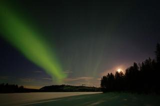 The Loft into the wild - Boliden - 4