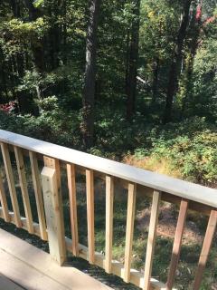 Forest View - Paradise - 3