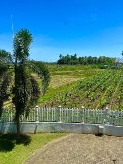 Kamatha Hotel & Restaurant - 1