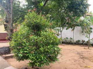 Penthouse Galle - Galle - 7