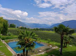 Oberberghof - Appiano sulla Strada del Vino - 8