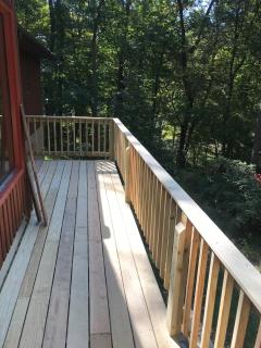 Forest View - Paradise - 8