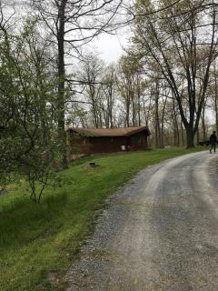 Forest View - 9