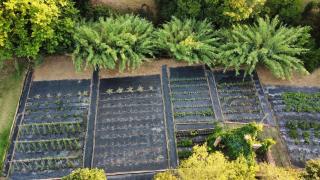 Renovated Barn with garden and pool - for 8 - Corçà - 8