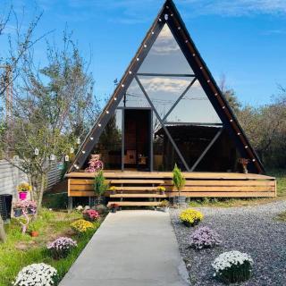 Cottage Milu კოტეჯი მილუ - Kutaissi - 1