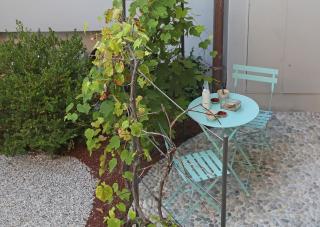 Dos del Sul - Vinaccia - Roe - 4