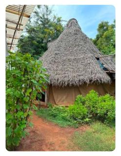 Camaraderie Homestay, Cafe & Restaurant - Auroville - 8