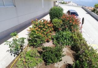 Apartamento en la playa ideal para grupos - 2