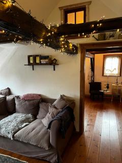 Apartment Cats Forest - 8