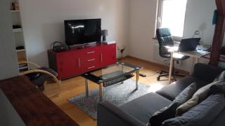 Cozy F2 near border Basel 4 people - 9