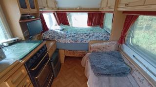Camping w Lesie - 6