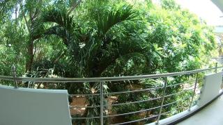Sea Zone Hotel Nilaveli - Nilaveli - 6