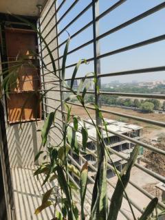 Abhilasha Heights - Surat - 1