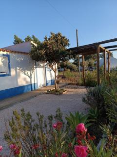 Casas do Montinho - Melides - 9