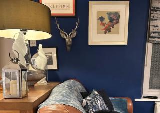 Primrose Cosy Cottage - Tealby - 8