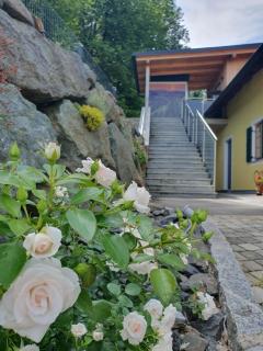 Weingut Pugl - Leibnitz - 7