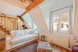 LubuNest Altstadt Stellplatz Blühendes Barock - Ludwigsburg - 8