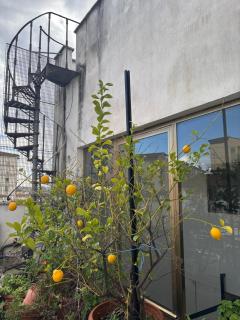 Girasole House - Firenze - 5