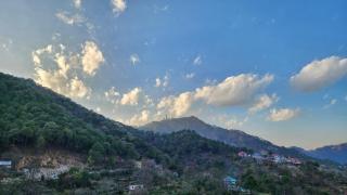 Hotel Mountain Shadow - Kasauli - 5