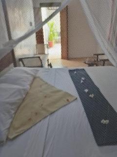 Ajooba - Lamu - 2