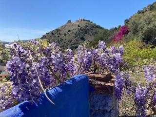 Bohemian Villa Malaga - Alora - 6