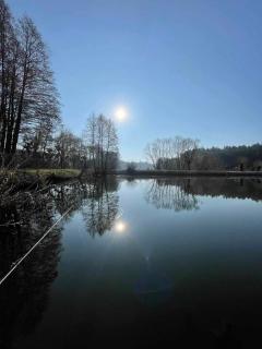 Odpocznij w Lesie - - 6