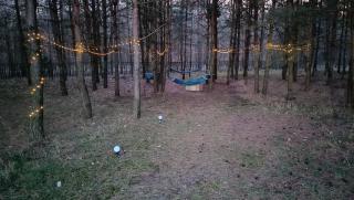Odpocznij w Lesie - - 5
