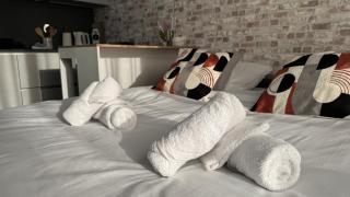 Maison Fair play, jardin, parking, billard - Maisons-Alfort - 9