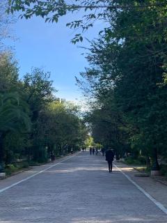 ARIS Kallithea- Big & Bright 3 Bedroom Apartment - Atene - 3