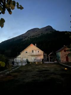 Family house on the mountain - Krstac, Njegusi - 7
