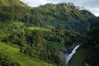 4 Rooms Individual Cottage near attukad waterfalls - Hall, 4bed room delux, falls view, located at tea etstae - Devikolam - 4