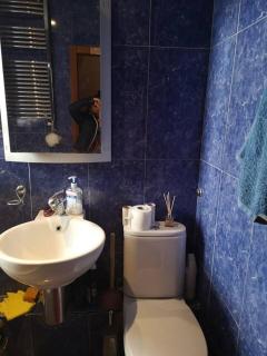 Shared accommodation ideal for professional or students in heart of London - London - 8