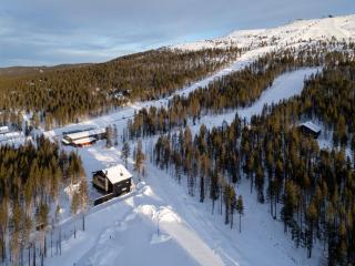 Aavalevi House Of Grey - Levi - 9
