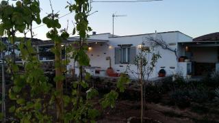 Villa Amalia at Campos Antiparos - Andiparo - 1