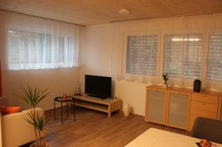 Ruhiges, schönes Studio in Zuchwil - Zuchwil - 7