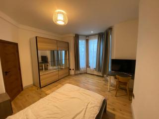 Lovely spacious 2 bed apartment - Londra - 3