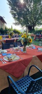 Agriturismo S. Eurosia - Montalcino - 6