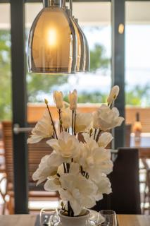 Villa Neptune - Starigrad - 1