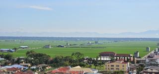 Enjoy the Morning Paddy Field in Sekinchan - 4
