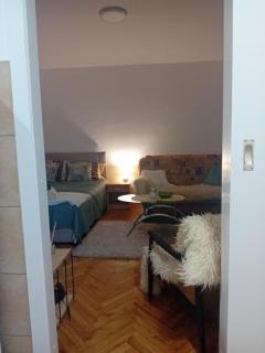 Apartman Tanja - Arandelovac - 8
