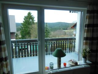 Ferienwohnung Mit Balkon In Hohegeiß - Braunlage - 3