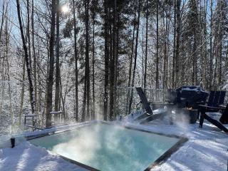 Le Baumier - Luxe et Spa - Pont-Rouge - 7